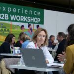 Agriturismo: tra on line e intelligenza artificiale